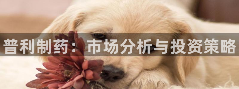 九游会老哥俱乐部官网首页：普利制药：市场分析与投资策略