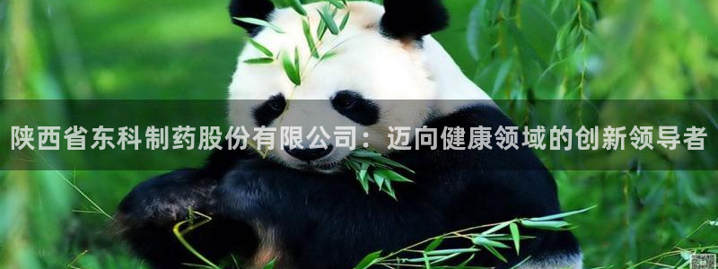 ag九游会老哥：陕西省东科制药股份有限公司：迈向健康领域的创新领导者