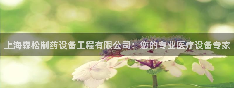 老哥俱乐部是干什么的：上海森松制药设备工程有限公司：您的专业医疗设备专家