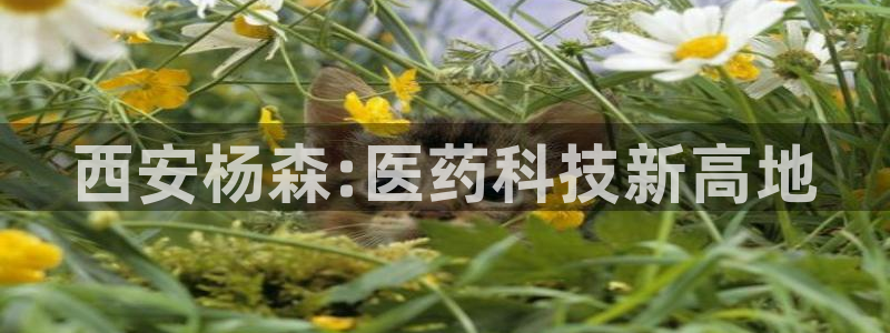 j9九游会老哥俱乐部交流区：西安杨森:医药科技新高地
