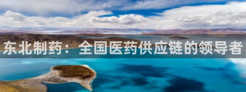 九游会老哥俱乐部官网：东北制药：全国医药供应链的领导者