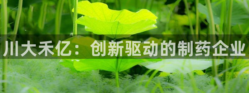 九游会老哥俱乐部：川大禾亿：创新驱动的制药企业