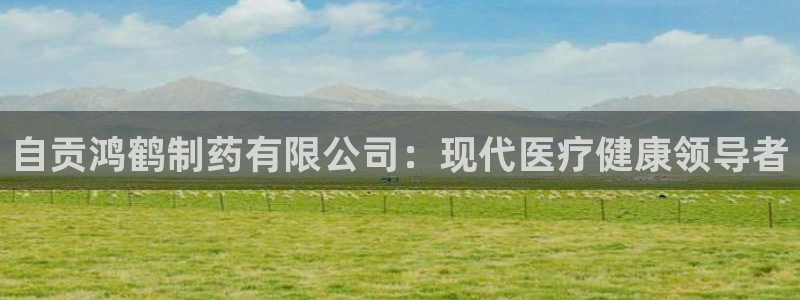 老哥俱乐部是干什么的：自贡鸿鹤制药有限公司：现代医疗健康领导者