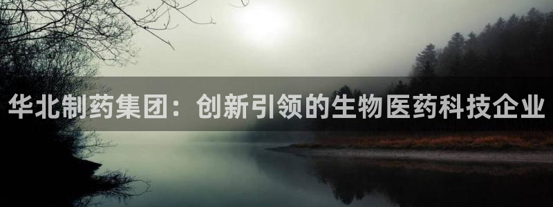 老哥俱乐部是干什么的啊：华北制药集团：创新引领的生物医药科技企业