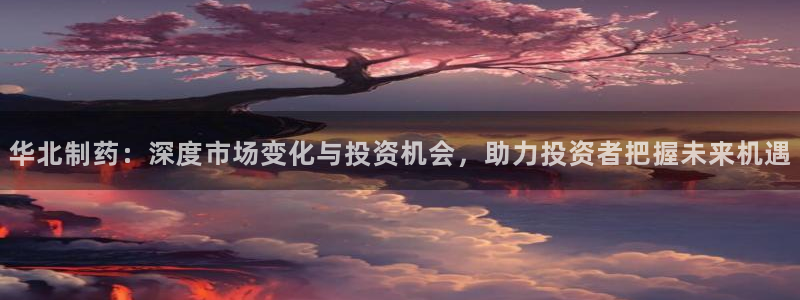 九游会老哥俱乐部必备的交流社区：华北制药：深度市场变化与投资机会，助力投资者把握未来机遇