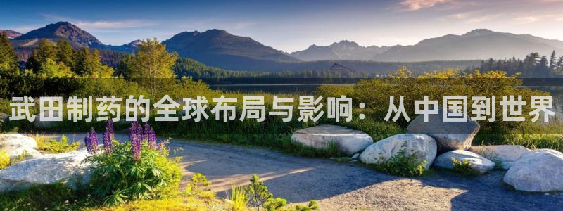 九游会老哥俱乐部：武田制药的全球布局与影响：从中国到世界