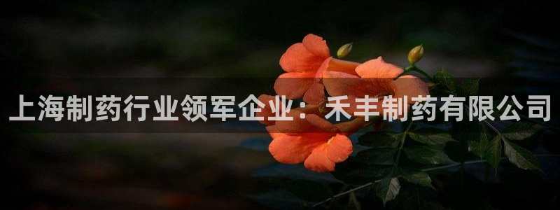 九游会老哥俱乐部交流社区：上海制药行业领军企业：禾丰制药有限公司