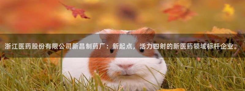 九游会老哥俱乐部必备的交流社区论坛：浙江医药股份有限公司新昌制药厂：新起点，活力四射的新医药领域标杆企业。