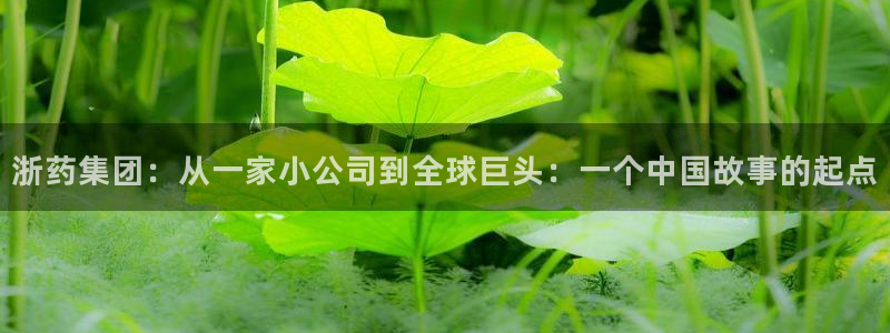 九游会老哥俱乐部官网首页：浙药集团：从一家小公司到全球巨头：一个中国故事的起点