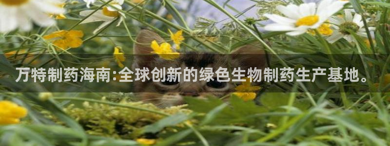 九游会老哥必备的交流社区九：万特制药海南:全球创新的绿色生物制药生产基地。