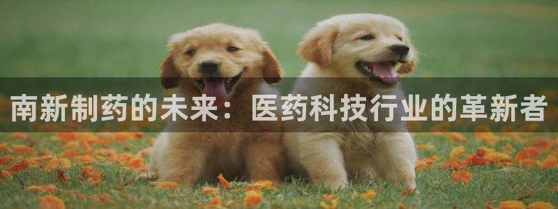 九游会老哥俱乐部必备的交流社区论坛：南新制药的未来：医药科技行业的革新者