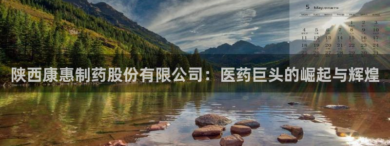 九游会老哥俱乐部必备的交流社区论坛：陕西康惠制药股份有限公司：医药巨头的崛起与辉煌