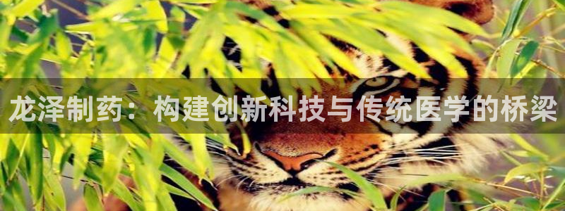 九游会老哥：龙泽制药：构建创新科技与传统医学的桥梁