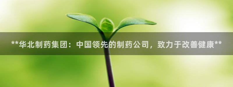 九游老哥俱乐部登录：**华北制药集团：中国领先的制药公司，致力于改善健康**
