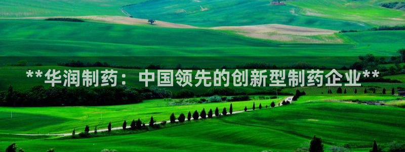 老哥俱乐部是干什么的：**华润制药：中国领先的创新型制药企业**