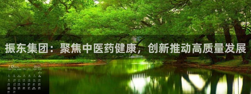 九游老哥俱乐部官网登录不了：振东集团：聚焦中医药健康，创新推动高质量发展
