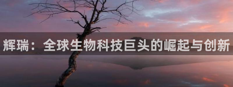 九游老哥俱乐部官网登录