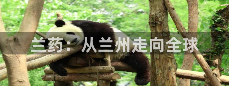 ag九游会老哥：兰药：从兰州走向全球