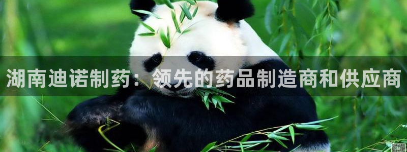 九游会老哥俱乐部：湖南迪诺制药：领先的药品制造商和供应商