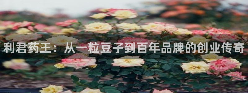 九游会老哥俱乐部必备的交流社区：利君药王：从一粒豆子到百年品牌的创业传奇