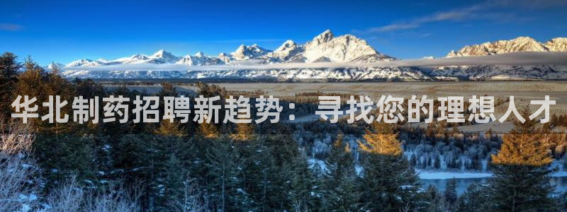 九游老哥俱乐部官网登录不了：华北制药招聘新趋势：寻找您的理想人才
