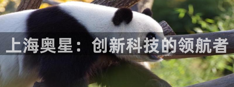 j9九游会老哥俱乐部交流区：上海奥星：创新科技的领航者