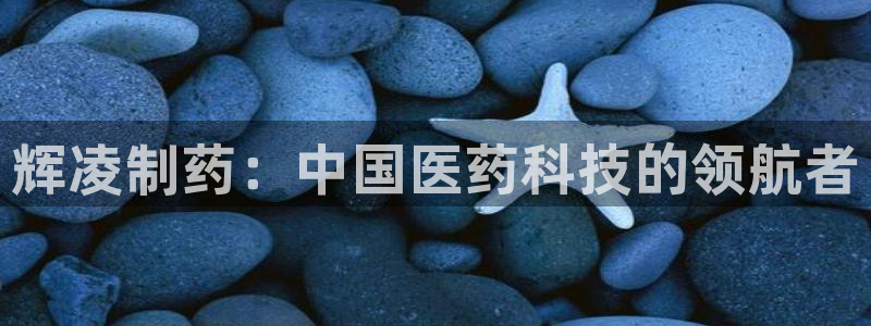 usdt九游会老哥俱乐部：辉凌制药：中国医药科技的领航者