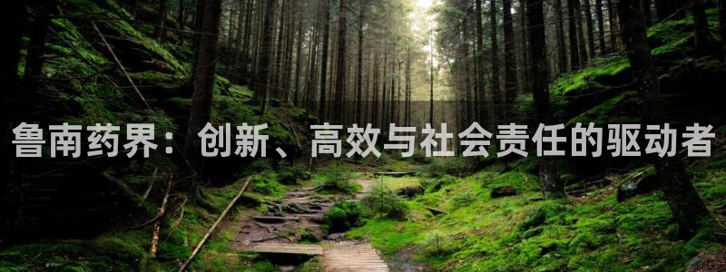 九游会老哥俱乐部官网首页：鲁南药界：创新、高效与社会责任的驱